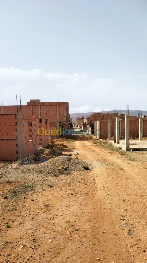 Vente Terrain Mostaganem Sayada