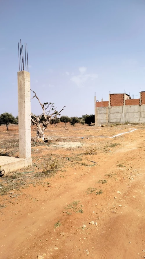 Vente Terrain Mostaganem Sayada