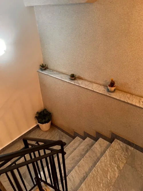 Location Appartement Niveau de villa F3 Alger Dely brahim