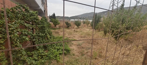 Vente Appartement Niveau de villa F5 Bouira Lakhdaria