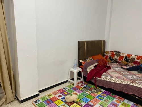 Location Local Chlef Chlef