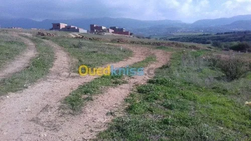 Vente Terrain Tlemcen Nedroma