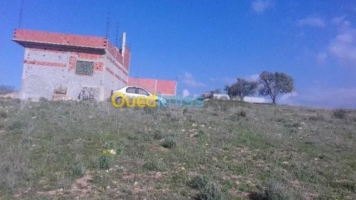 Vente Terrain Tlemcen Nedroma