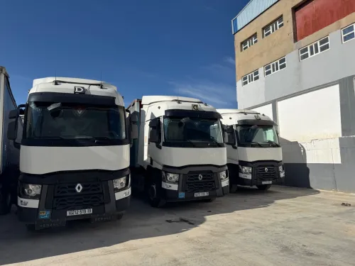 Rona Renault C440 2019