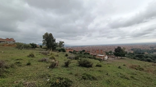 Vente Terrain Blida Ouled selama