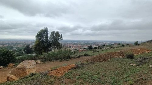 Vente Terrain Blida Ouled selama