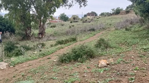 Vente Terrain Blida Ouled selama