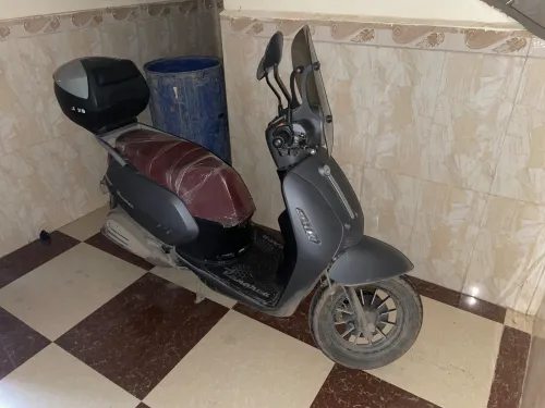 Benelli Panaria 2025