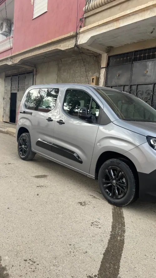 Fiat Doblo panorama 2025 