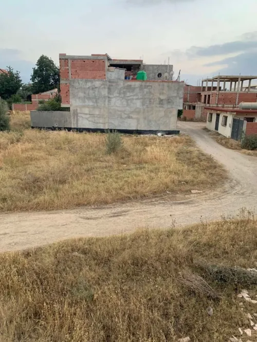 Vente Terrain Agricole Blida Larbaa