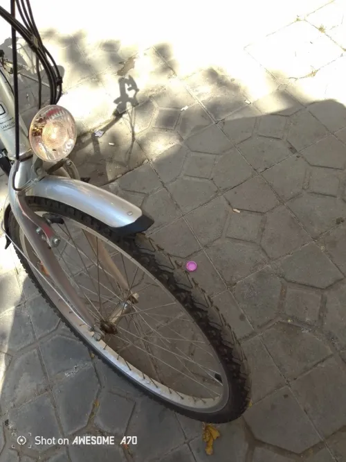 Velo électrique 24v 