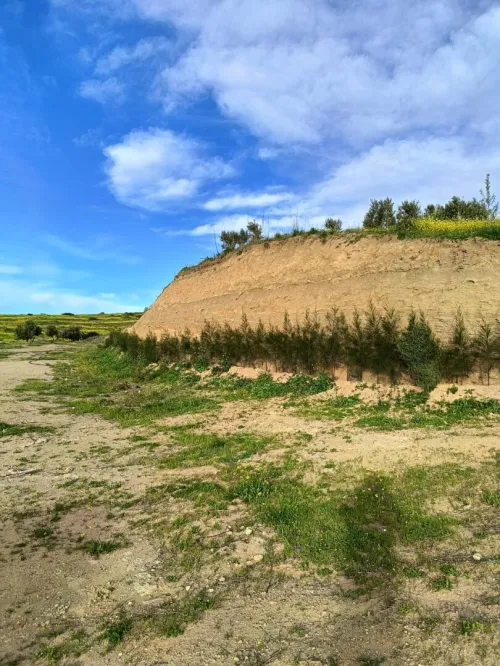 Vente Terrain Agricole Aïn Témouchent Ain kihal