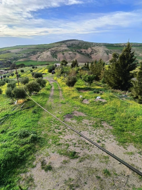 Vente Terrain Agricole Aïn Témouchent Ain kihal