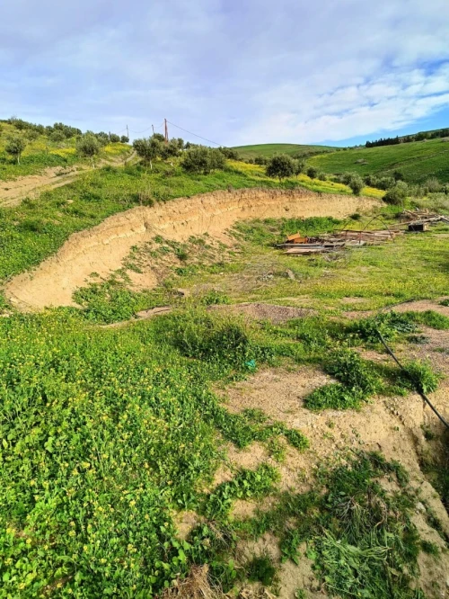 Vente Terrain Agricole Aïn Témouchent Ain kihal