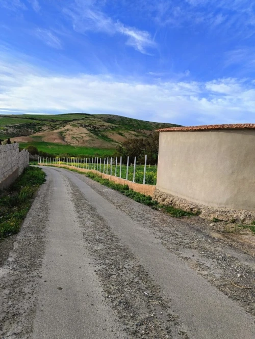 Vente Terrain Agricole Aïn Témouchent Ain kihal