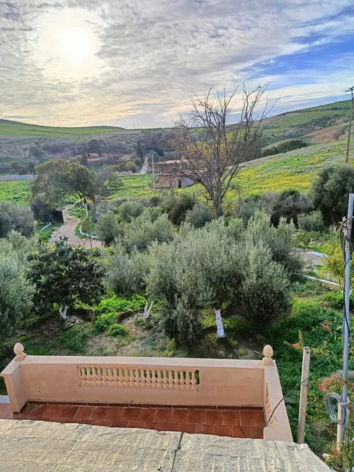 Vente Terrain Agricole Aïn Témouchent Ain kihal