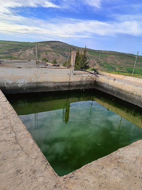 Vente Terrain Agricole Aïn Témouchent Ain kihal
