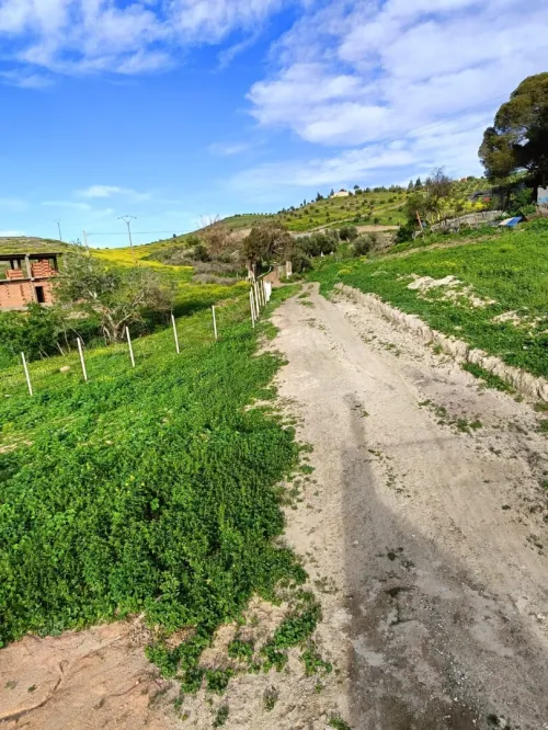 Vente Terrain Agricole Aïn Témouchent Ain kihal