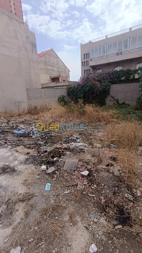 Vente Terrain Constantine Ain smara