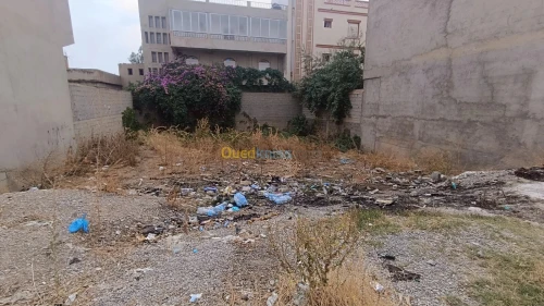 Vente Terrain Constantine Ain smara