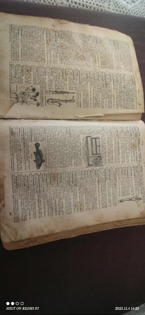 Dictionnaire 