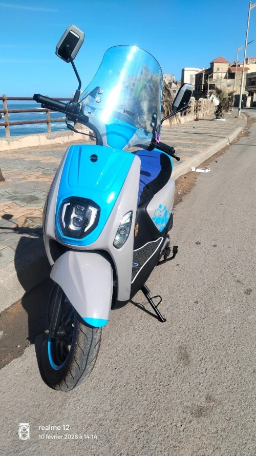 Vms Estate x 2024