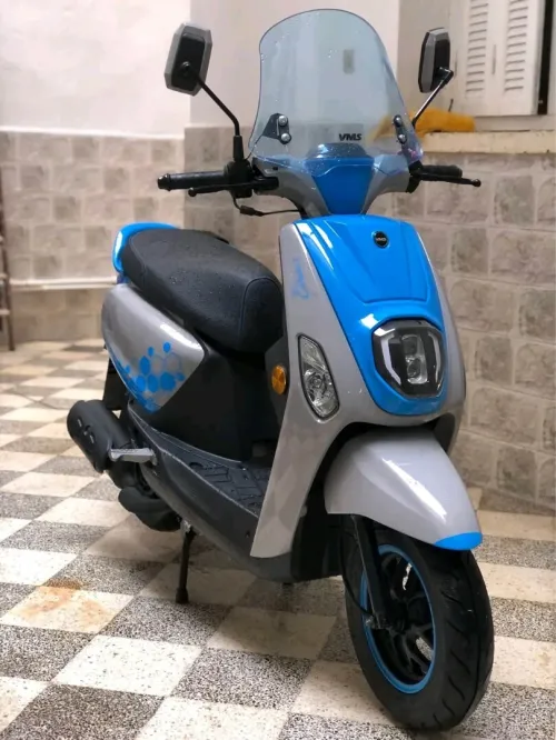 Vms Estate x 2024