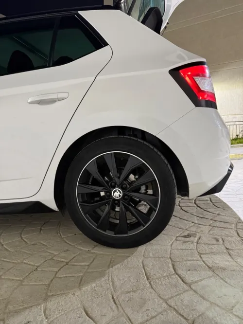 Skoda Fabia 2018 Monte Carlo