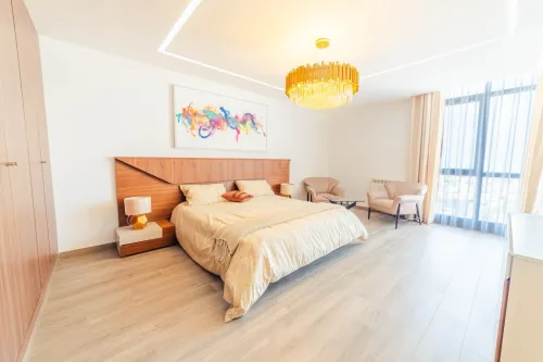 Vente Appartement Duplex F6 Alger Cheraga 3