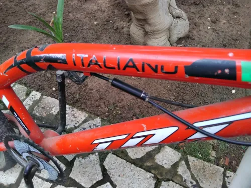 Velo
