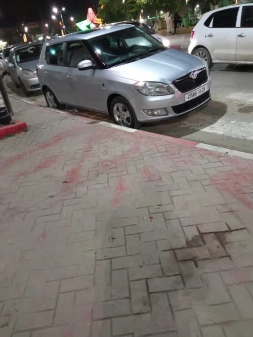 Skoda Fabia 2014 Fresh
