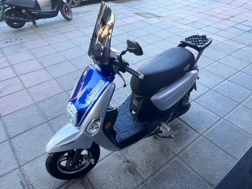 Cuxi Cuxi okinoia 2025