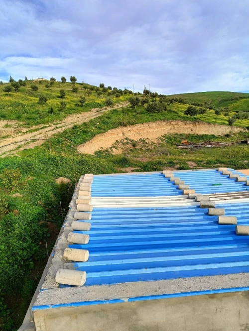 Vente Terrain Aïn Témouchent Ain kihal
