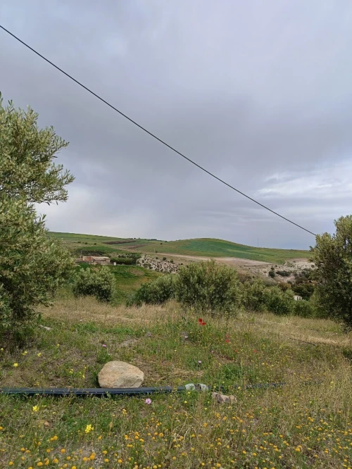 Vente Terrain Aïn Témouchent Ain kihal