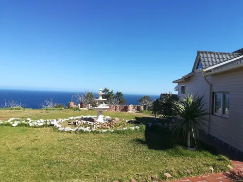 Vente Terrain Tipaza Tipaza