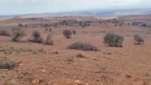 Vente Terrain Tlemcen Maghnia