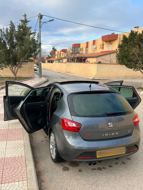 Seat Ibiza 2014 Edition 30