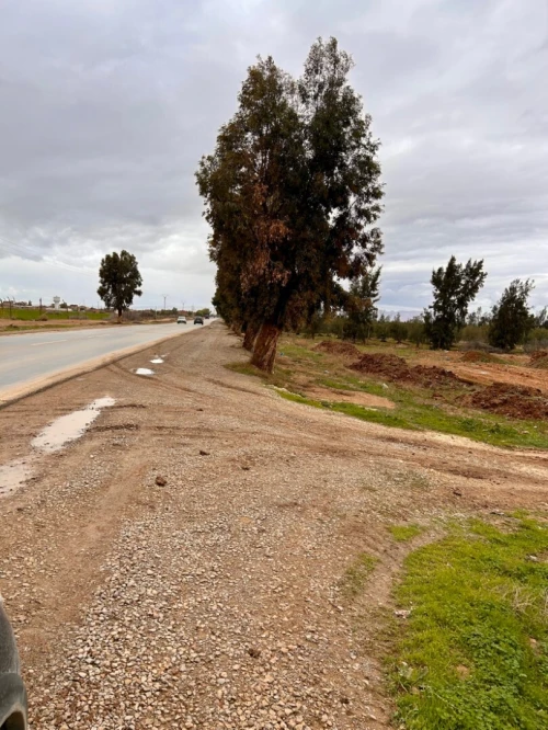 Vente Terrain Relizane Zemmoura
