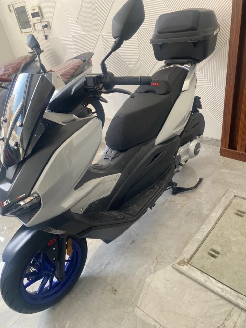 V max 300 2025