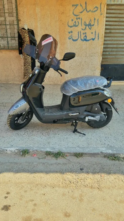 cuxi cuxi1 2025
