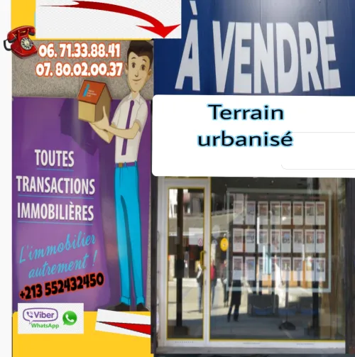 Vente Terrain Alger Baraki
