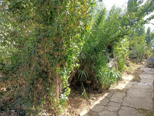 Vente Appartement Duplex F3 Tissemsilt Theniet el had