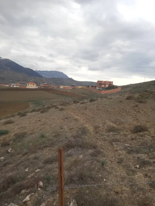 Vente Terrain Sétif Babor
