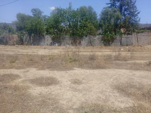 Vente Terrain Aïn Defla Arib