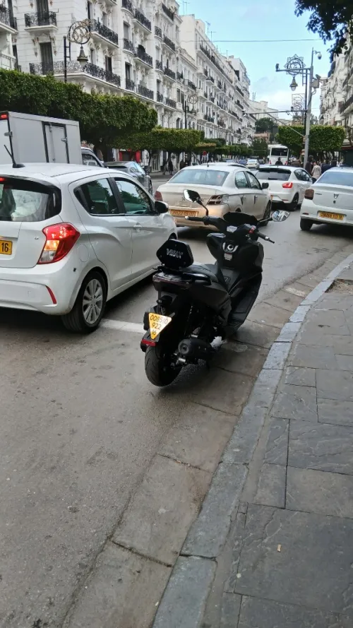 VMax Vmax 2022