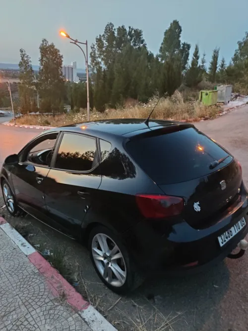 Seat Ibiza 2010 Loca