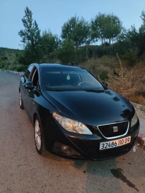 Seat Ibiza 2010 Loca