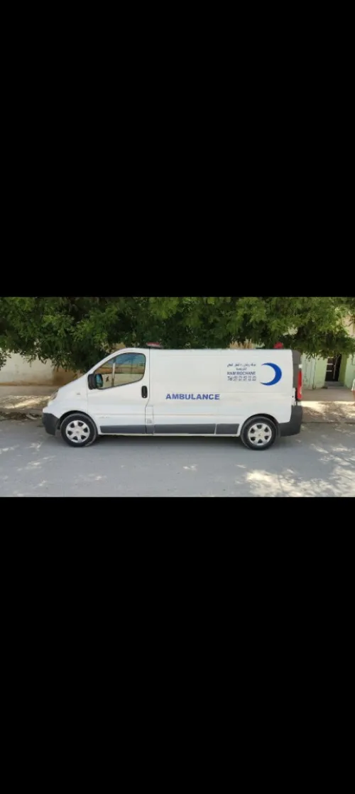 Renault Trafic 2013
