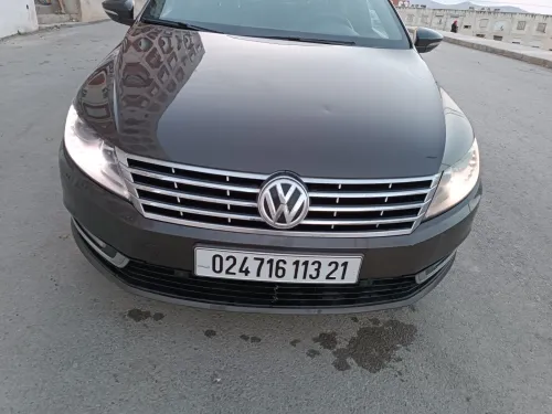Volkswagen Passat CC 2013 Passat CC