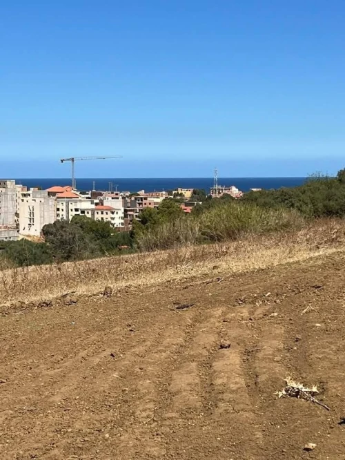 Vente Terrain Boumerdès Zemmouri
